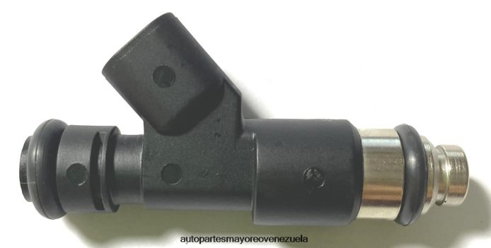inyector de combustible 12594512 2172436 4Z2LBD2113 - Repuestos De Motos Bmw En Venezuela